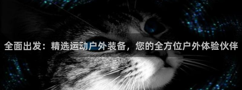 新宝gg画