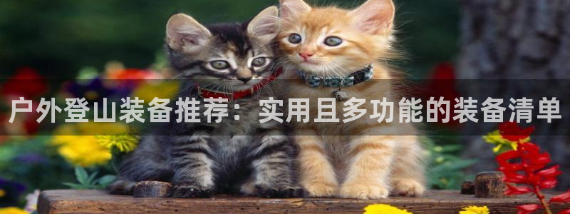 新宝gg维护