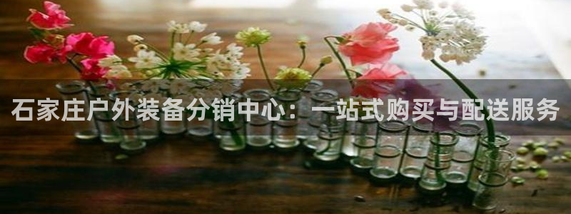 新宝gg属于