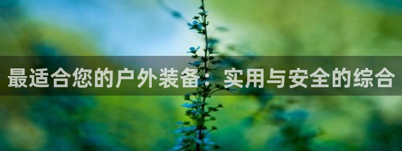 新宝gg平台怎么样