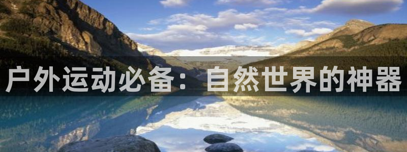 新宝gg登陆平台