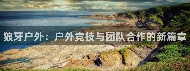 新宝GG亚洲