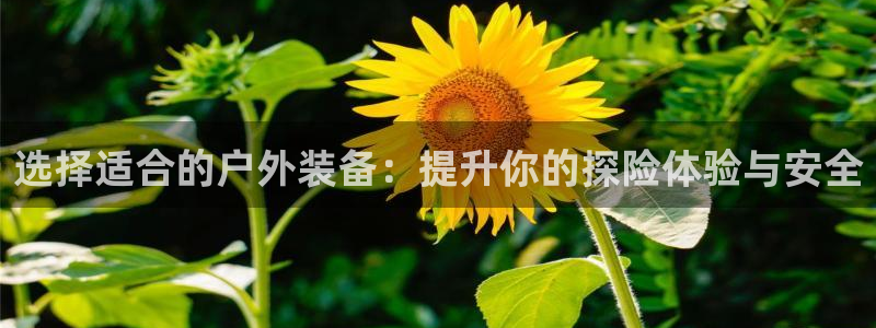 新宝gg怎样代理