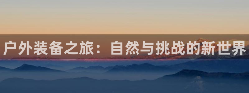 新宝gg介绍