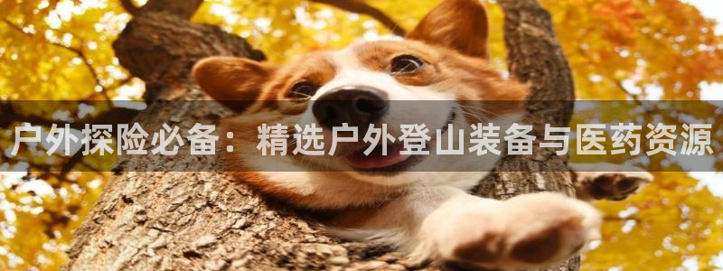 新宝GG傲78778