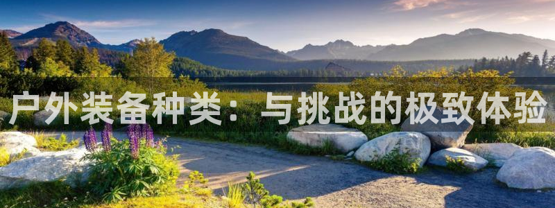 新宝gg如何做到总代理