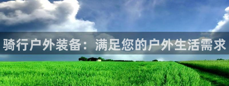 新宝gg如何