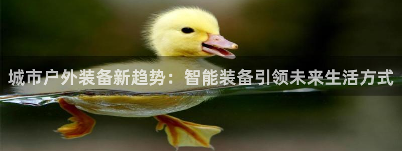 新宝gg推荐