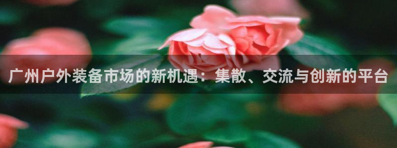 新宝gg主管花木兰
