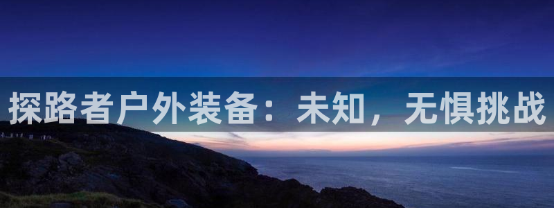 新宝 gg 下载