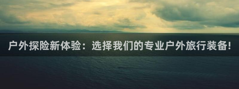 新宝gg指定平台