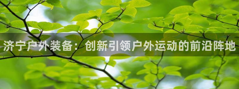 新宝gg如何