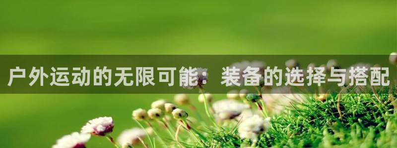 新宝GG反点