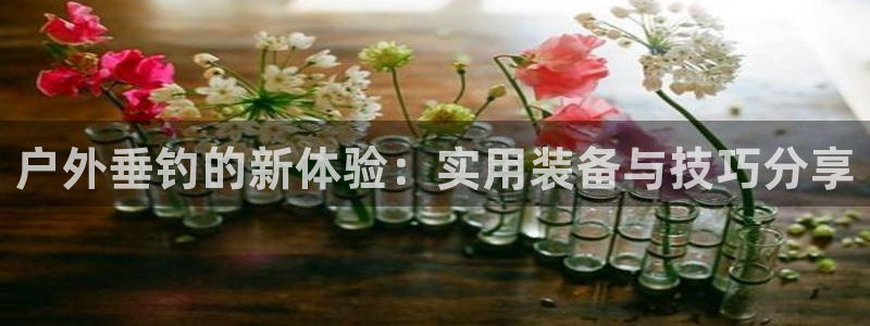 新宝gg-创业奇迹