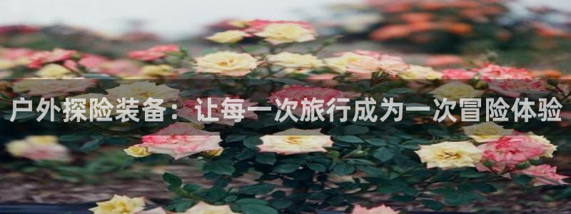 新宝GG 扣.772332