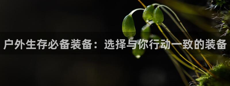 新宝gg是新宝几