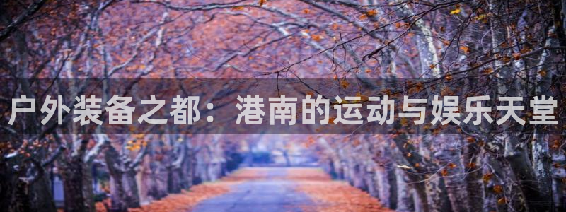 新宝gg网站