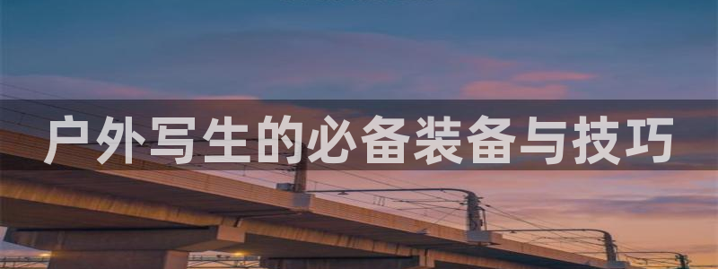 新宝gg助手