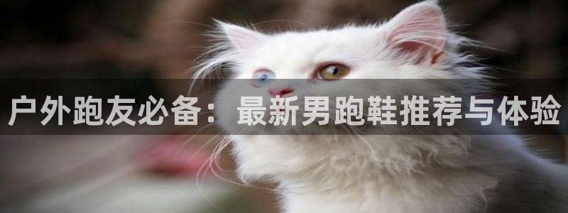 新宝GG—创造奇迹