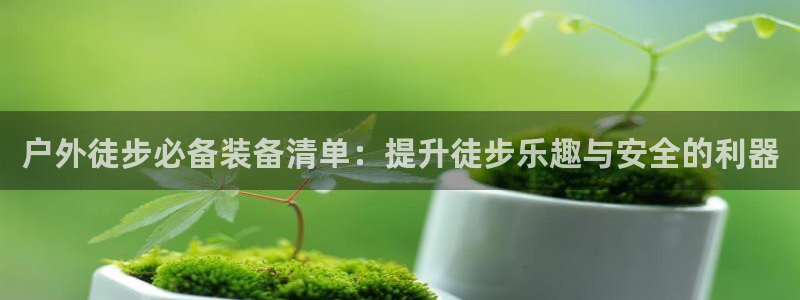 新宝gg是什么