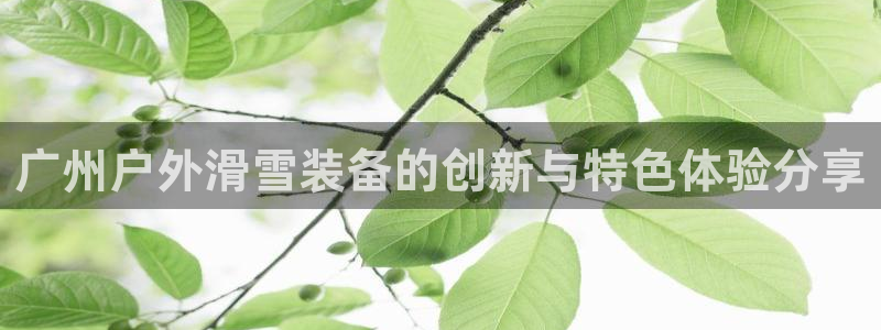 新宝gg是在境外吗