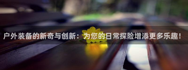 新宝GG娱乐-上皇巢网