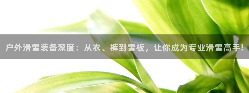 新宝gg注