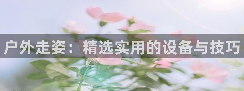 怎么下载新宝gg