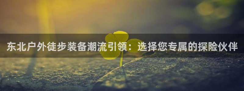 创造奇迹新宝gg