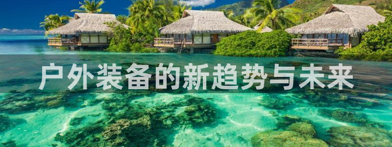 新宝gg打发