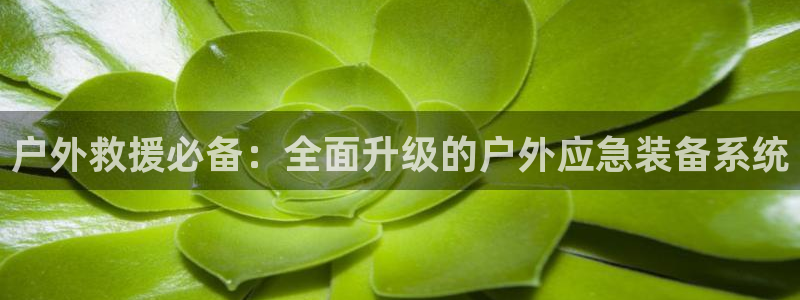 新宝gg 开户