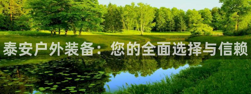 新宝gg下载官网下载