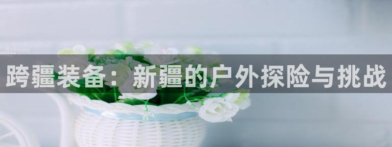 新宝gg奖金