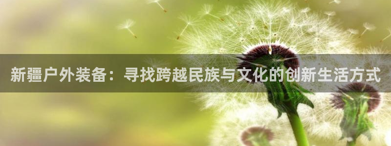 新宝gg如何