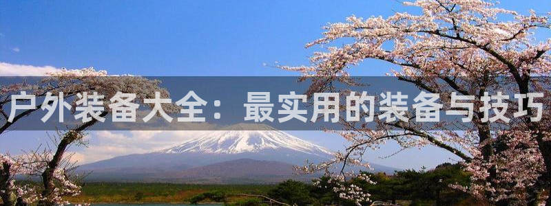 新宝gg平台gg登录gg网址