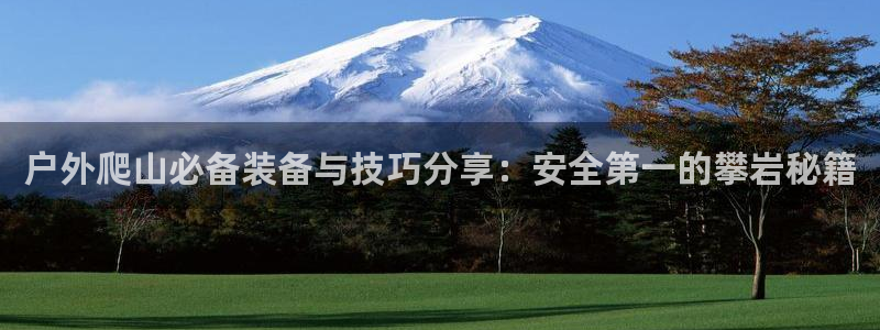 新宝gg网投