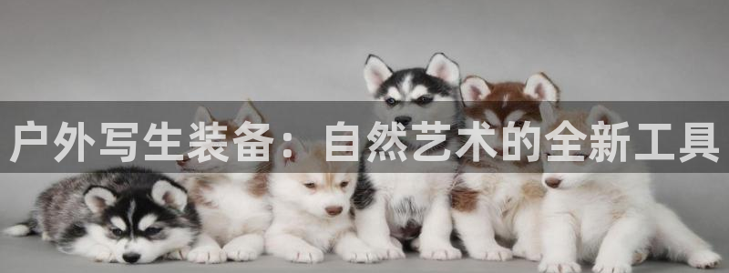 新宝gg真的能赚钱么