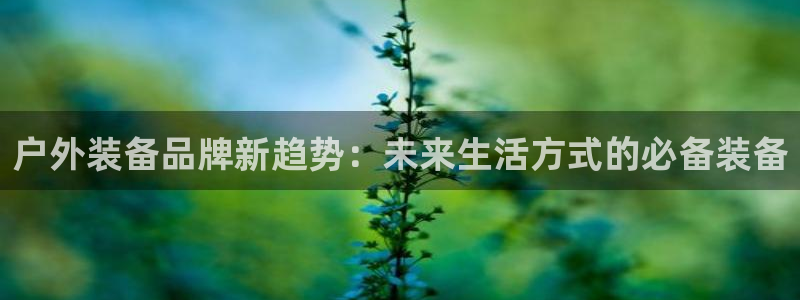 新宝gg怎么开户