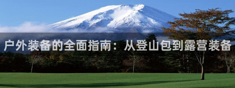 新宝gg正规