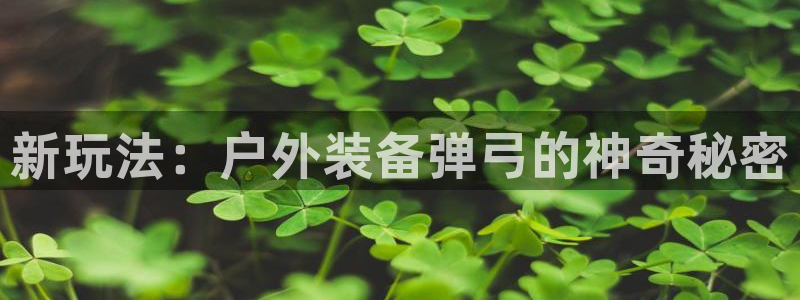 新宝gg直属上级
