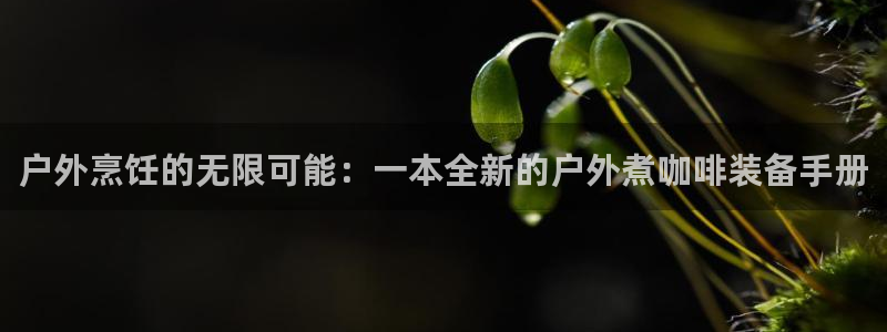 新宝gg线路