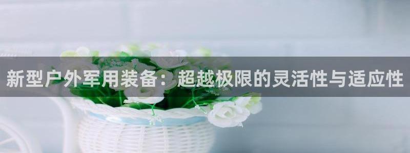 新宝gg玩法