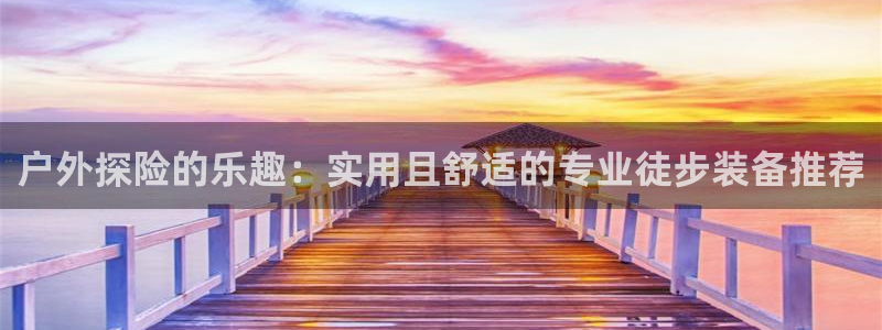 新宝gg平台下载安装
