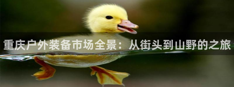 新宝_gg