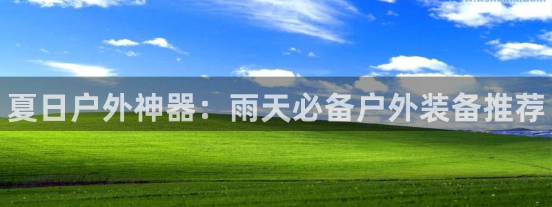 新宝gg真的