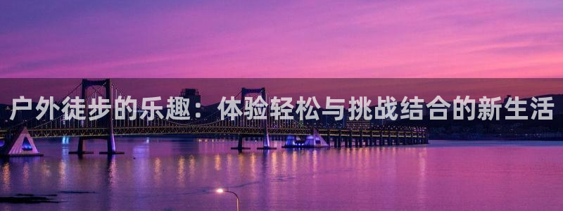 新宝六与新宝gg