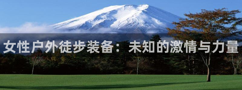 新宝gg推荐