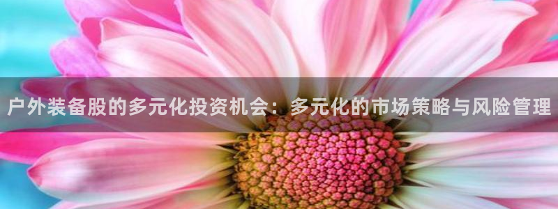新宝GG的老板