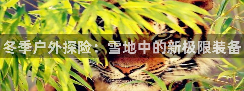 菲律宾新宝gg娱乐
