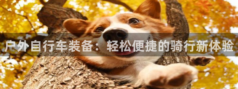 新宝gg创